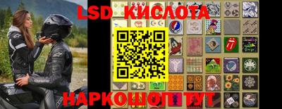 ПСИЛОЦИБИНОВЫЕ ГРИБЫ Нарткала