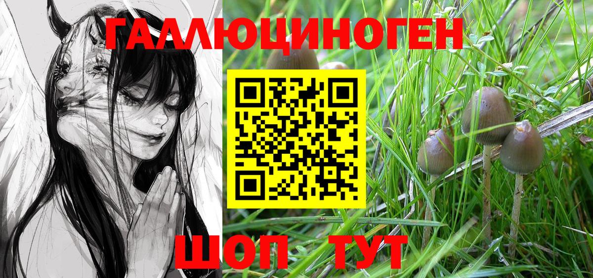 Псилоцибиновые грибы ЛСД Усолье-Сибирское